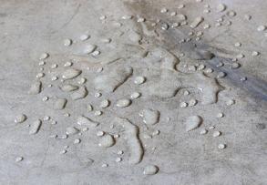 WATER REPELLANT COATING